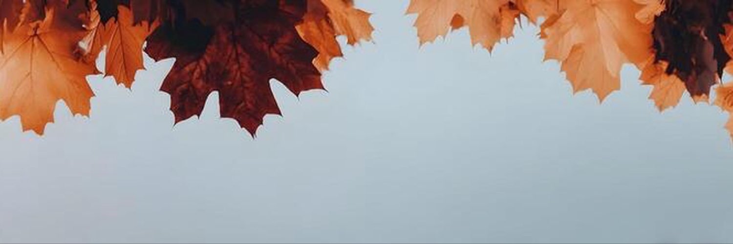 Melanie's banner
