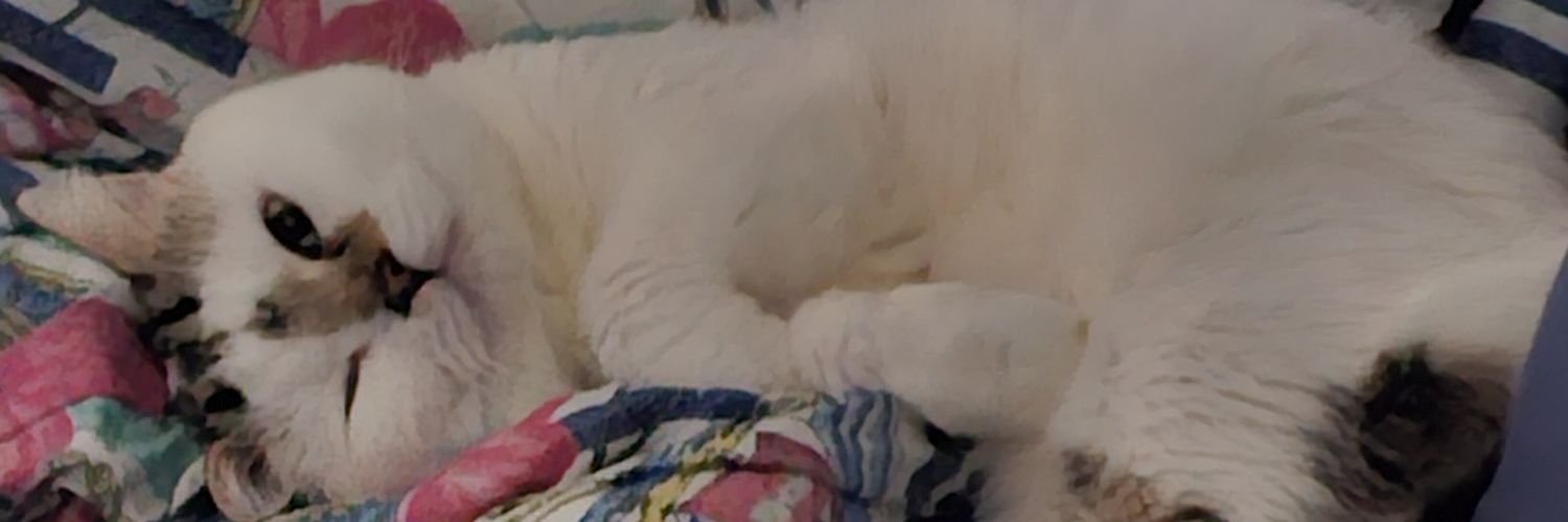 Plakrub_ปลาคราฟ's banner