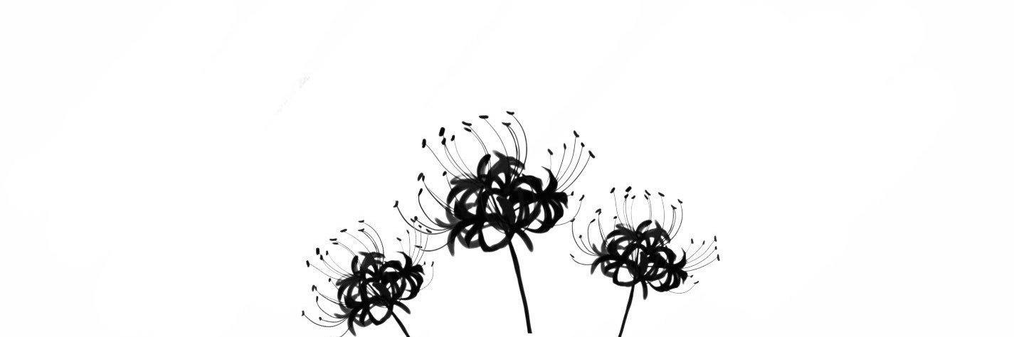 𝙧𝙞𝙣𝙣𝙞ᰔᩚ's banner