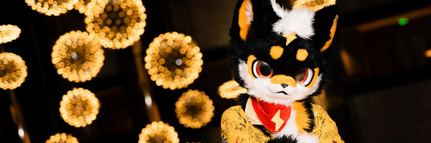 ⚡雷牙是只闪电柴⚡'s banner