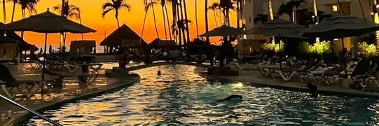 Maddie 🐱's banner