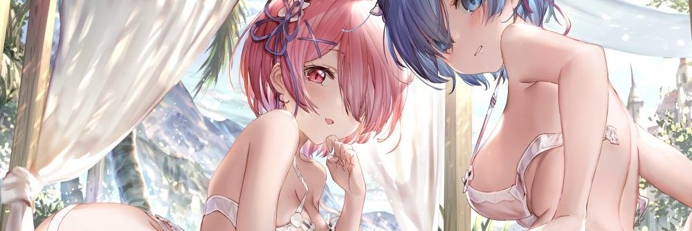 ROI's banner