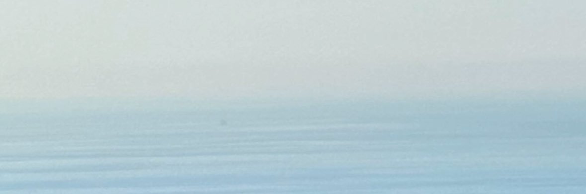 💭's banner
