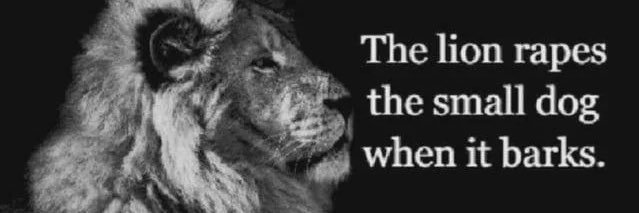 TheLion's banner