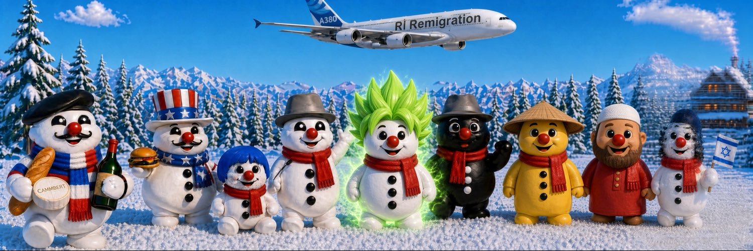 Boulicitoyen ☃️'s banner