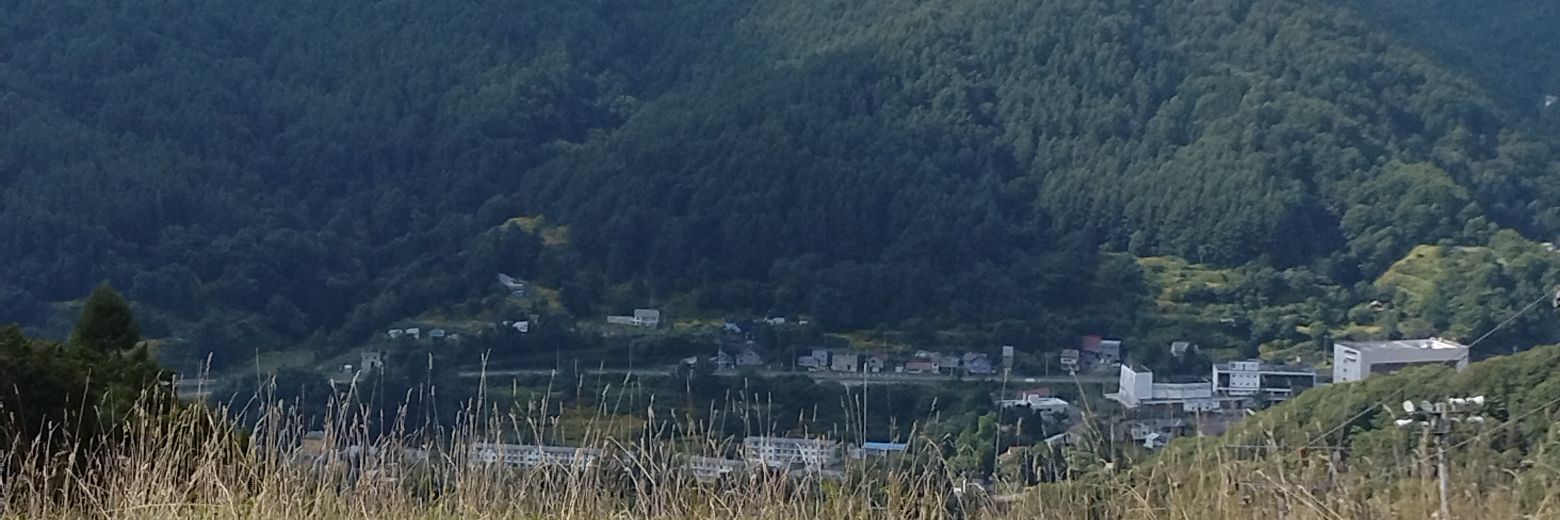 きしだジョー🕊️　（バイデンgif界隈、総理大臣gif界隈総裁）'s banner