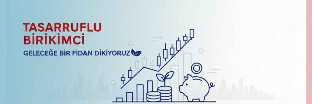 Tasarruflu Birikimci's banner