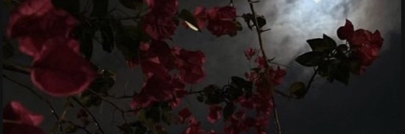 Lilith's banner