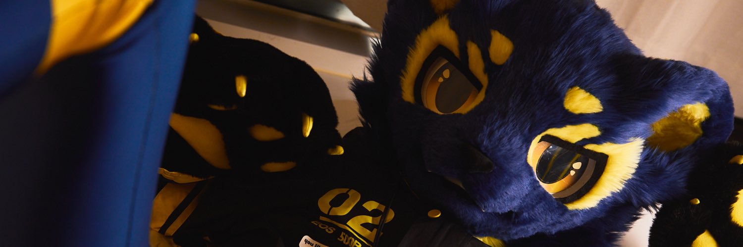 Nox's banner