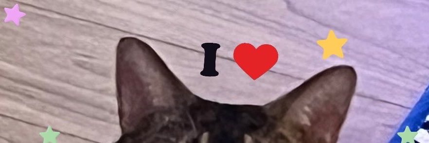 ᴸᵉᵉⁿᵃᵐล์˚⋆ ₊˚👩🏼‍🌾⊹ ᰔ #ᴏᴜᴛᴡᴇꜱᴛ 𖾕𖾝꙼ᩚ𛲕𖾟's banner