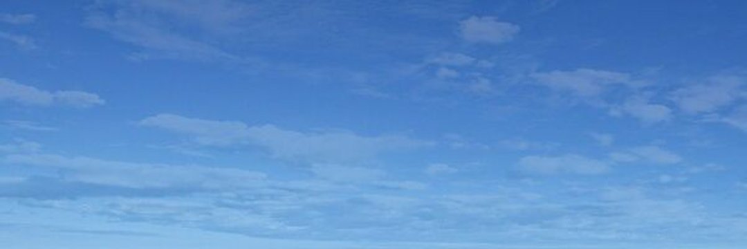 cindy's banner