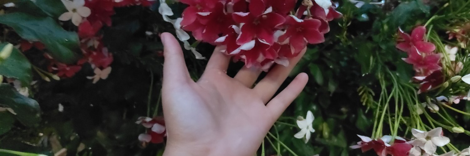 hậu's banner