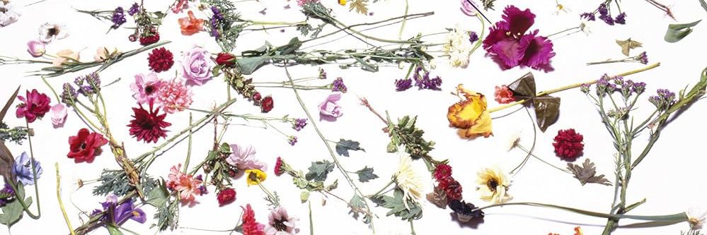 Peter Lodder's banner