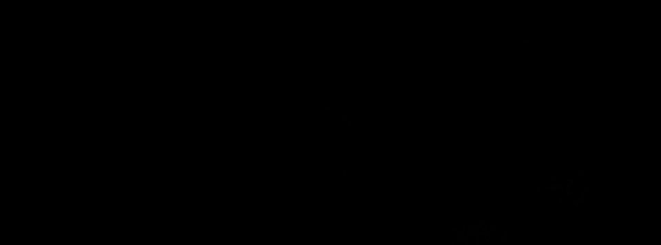 phase2flash's banner