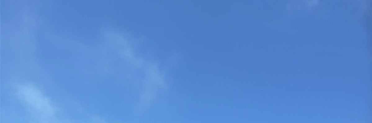 videos de pies's banner