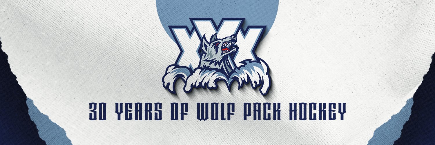 Hartford Wolf Pack's banner