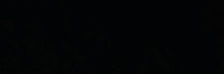 셋's banner