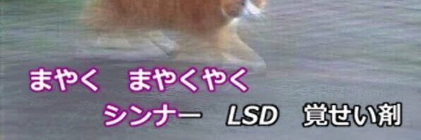がんばり's banner