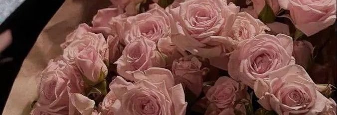ROWE ( 90.8K ) 💟's banner