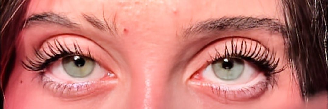 ASH 🕸️🕷️'s banner