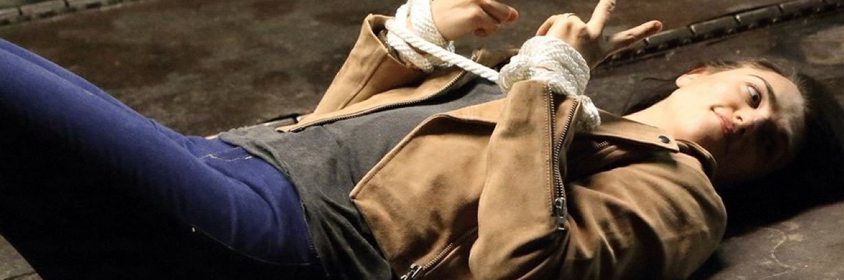 sara (in supergirls harem)'s banner