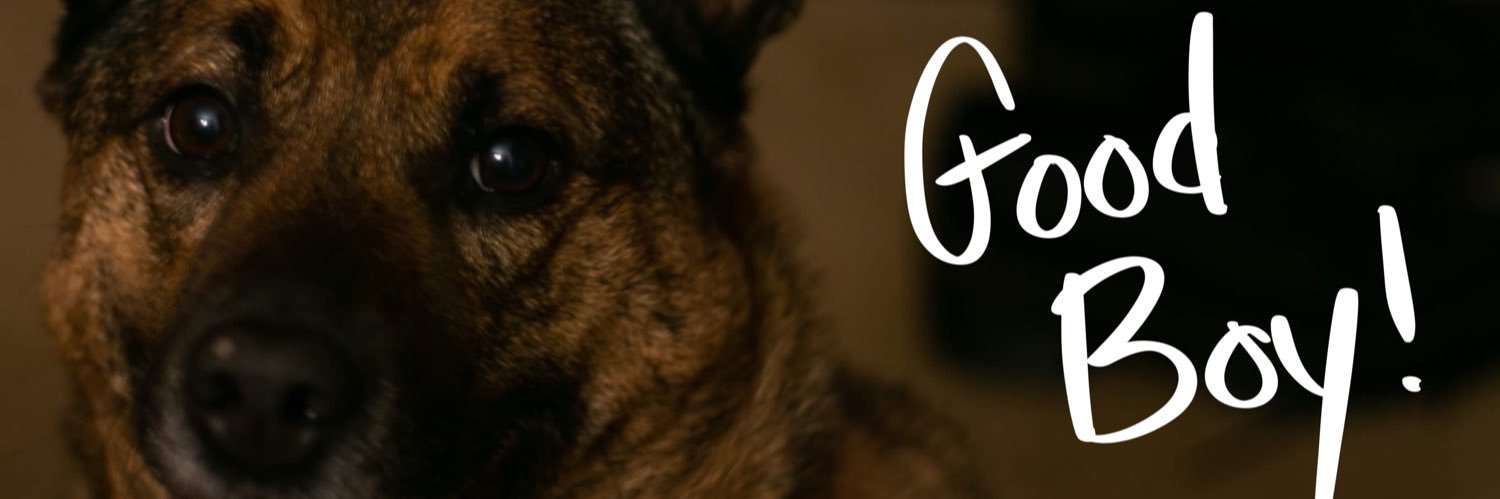 Aaron Terror's banner