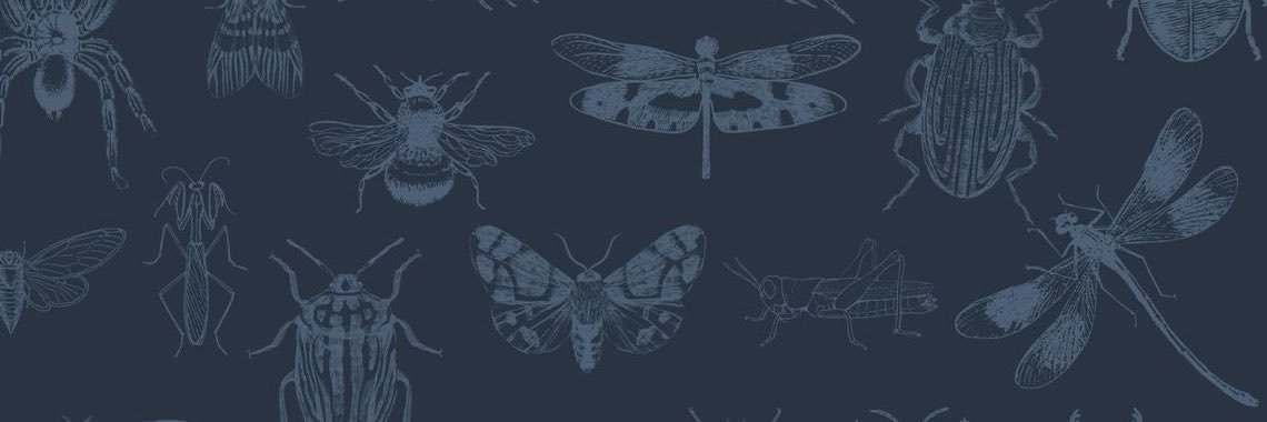 Lana the Bug 🪲💕's banner