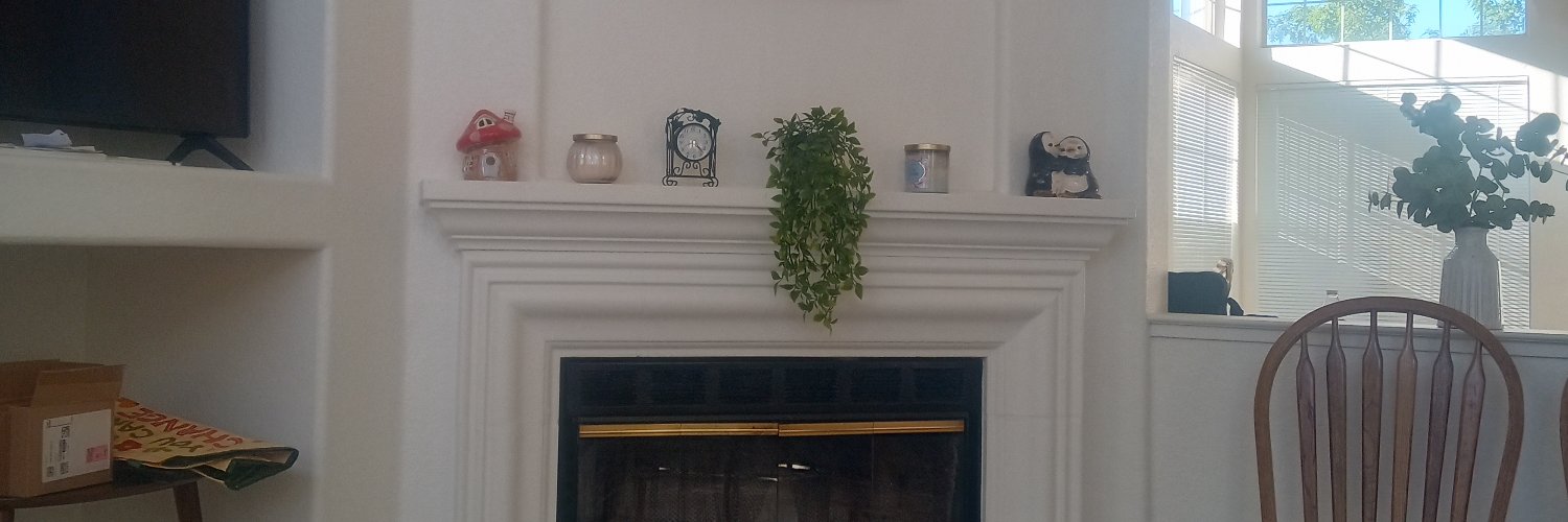 sana zahra's banner