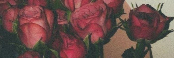 Lila Rose's banner