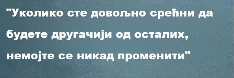 Vladimir Milosavljević's banner