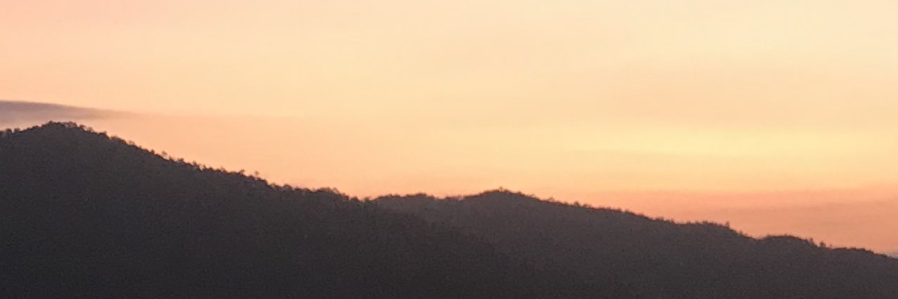 matchalatte's banner