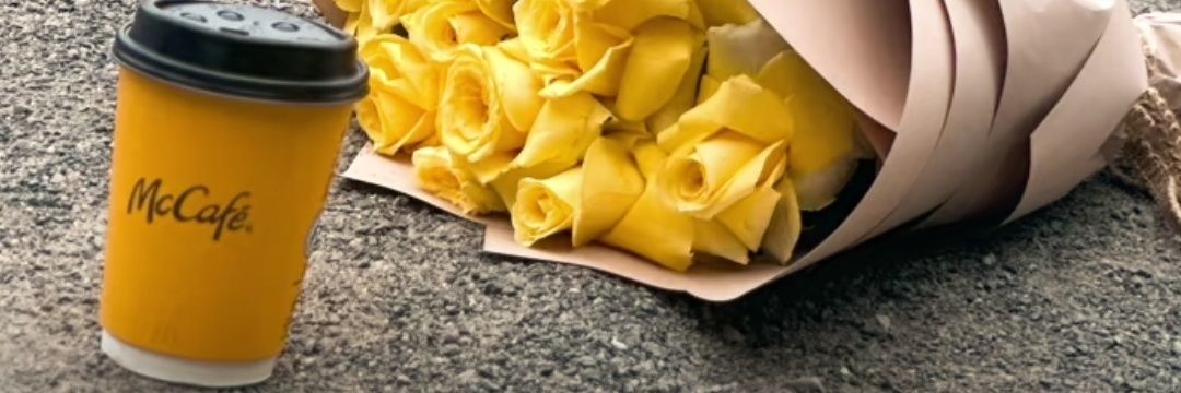 ضـيّ ✨'s banner
