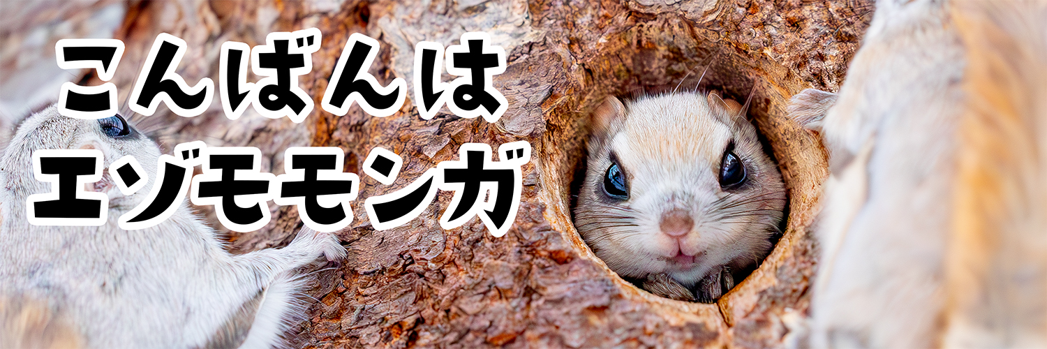 こんばんはエゾモモンガ's banner