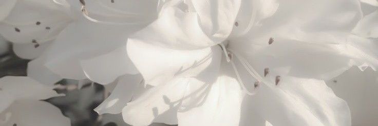 xiao.linlinx's banner