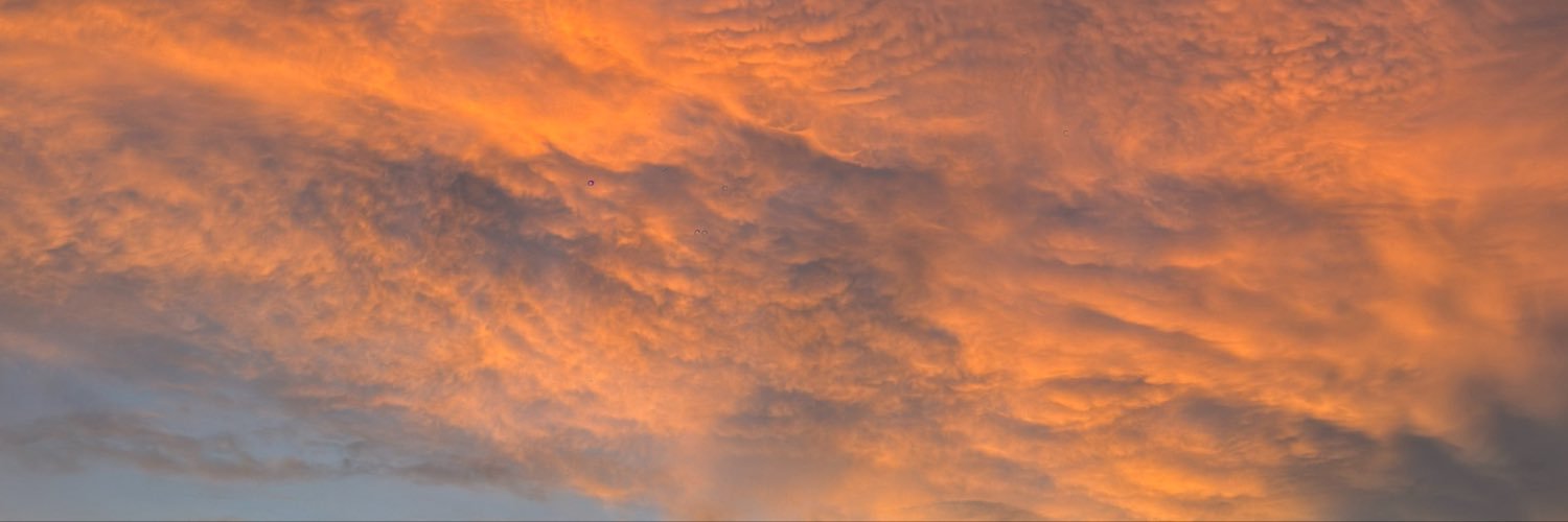 Fanney's banner