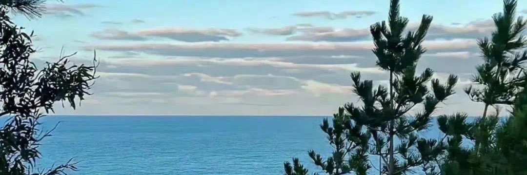 汉堡喵喵喵's banner