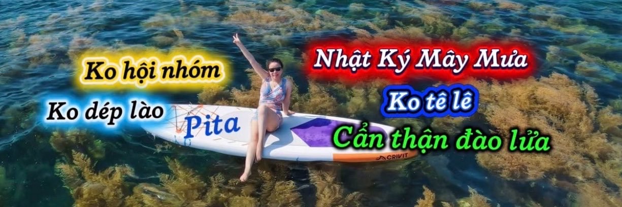 Pita X's banner