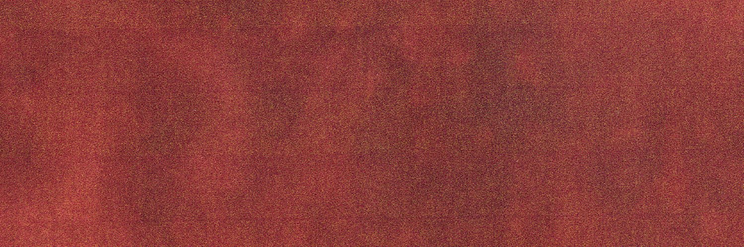 tori kelly's banner