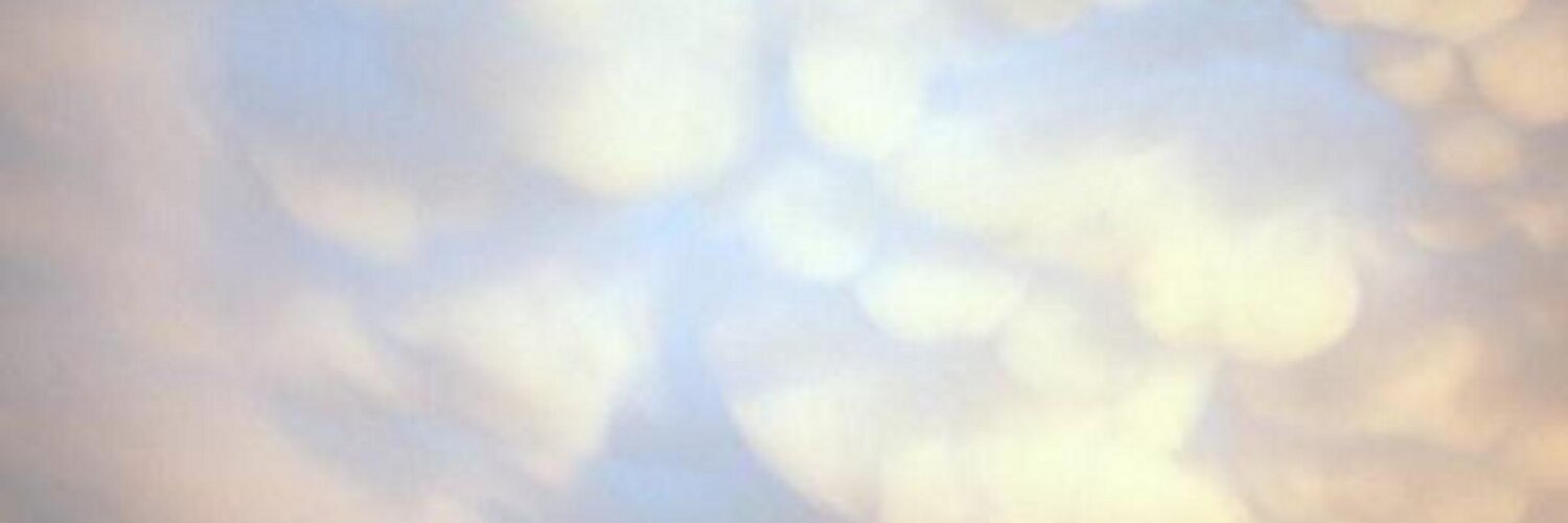 James Neill  ≠ 𝕏's banner