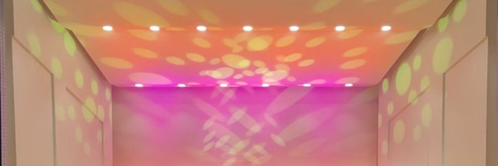 つくだ煮🍚のお供🐨's banner