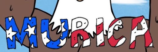 Not Just Your Average American's banner