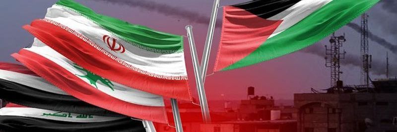 شاهد 136's banner