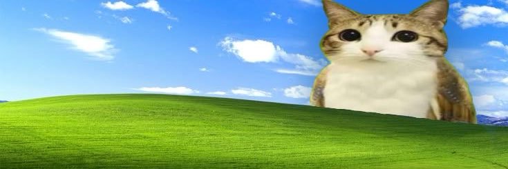 miau's banner