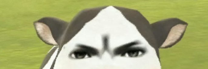 甜水椰椰's banner