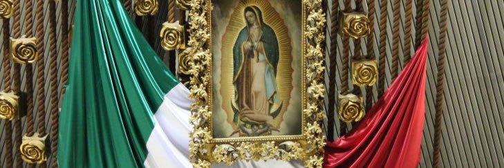 Nacionalista Criollo 🇲🇽🇺🇸🇪🇸🇵🇹✝️⚡️⚡️'s banner