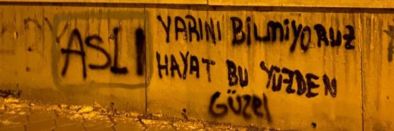 asly's banner
