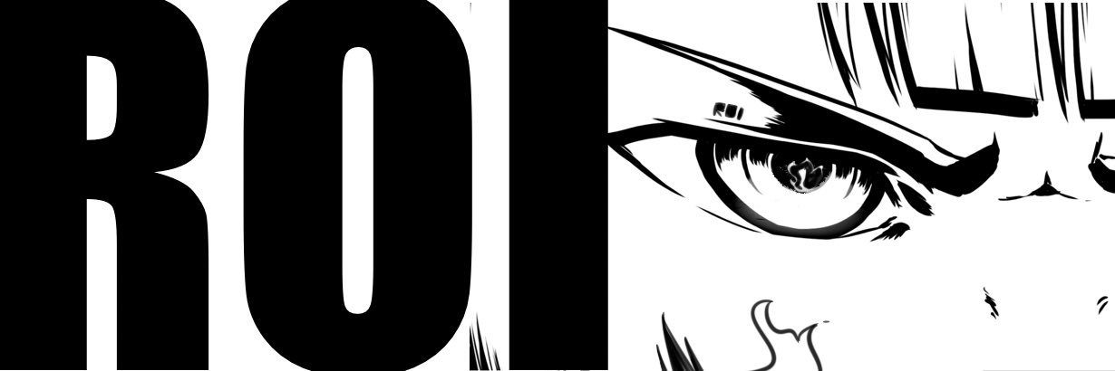 ROI's banner