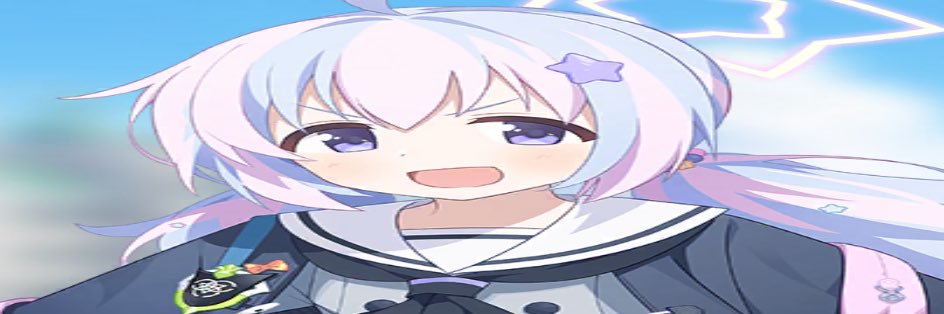 Wyper's banner