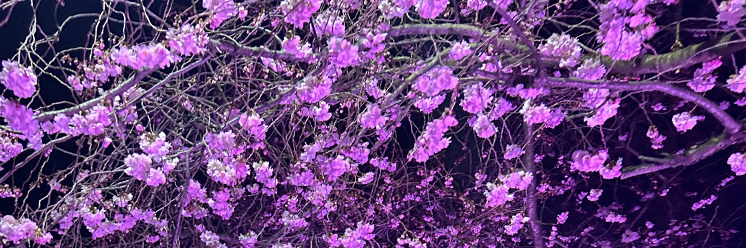 Natalia Yummy's banner