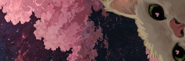 Chiara 🫶🏻's banner